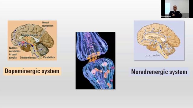 Нейропсихологические проблемы детей с СДВГ смотреть онлайн