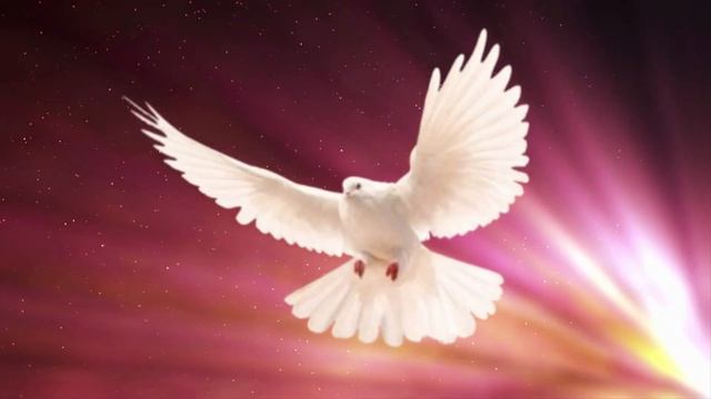 Oracion Al Espiritu Santo Cada Dia Hoy Jueves 23 De Febrero De 2023 En El Cenaculo #orarenelcenacul