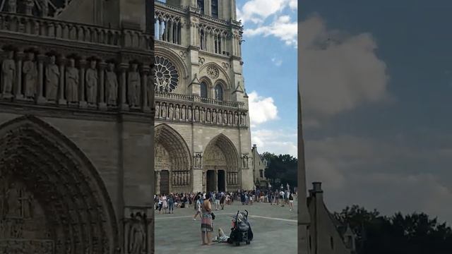 Notre Dame, Paris - Bells Tolling смотреть онлайн