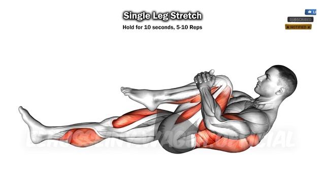 Do These 8 Stretching Exercises Every Morning (HOME & GYM)??