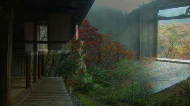 Осенний цвет Киото