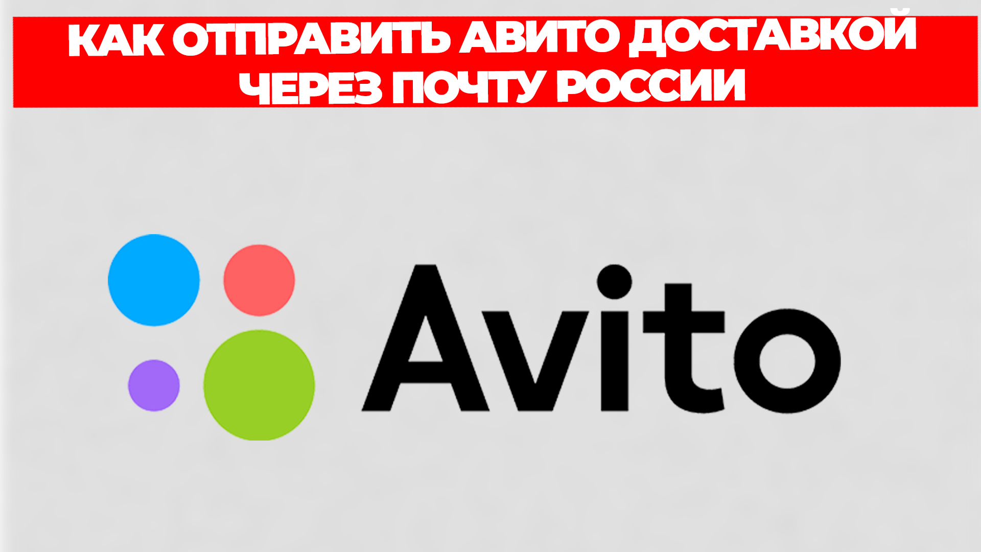 Всезнающий Енот