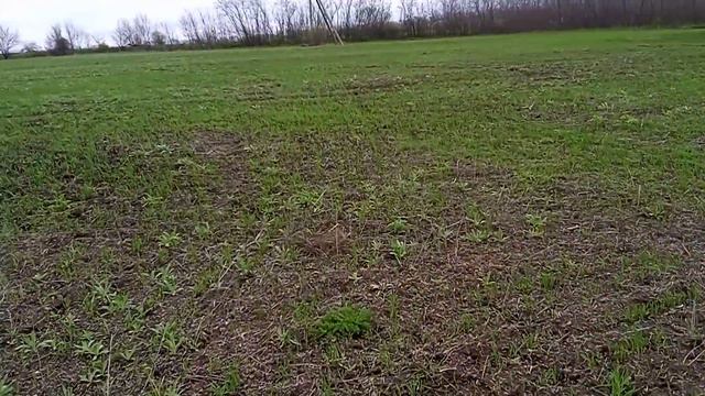 ОВЕС стан на 15.4.2023 проведя не оприскування смотреть онлайн