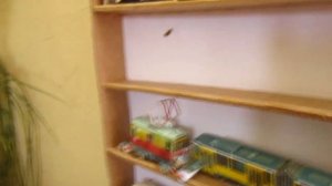 Служебные трамваи и троллейбусы.Бумажный трамвай.Бумажный троллейбус