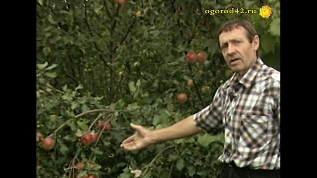 Уэлси в Сибири смотреть онлайн