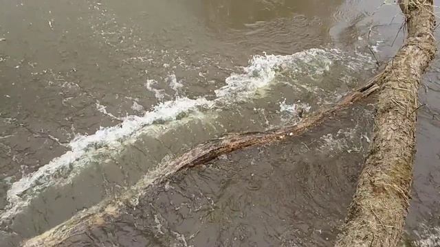 Река, брызги воды, slow mo смотреть онлайн
