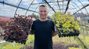 Отгружаем декорацию в кассетах.ОПТОМ