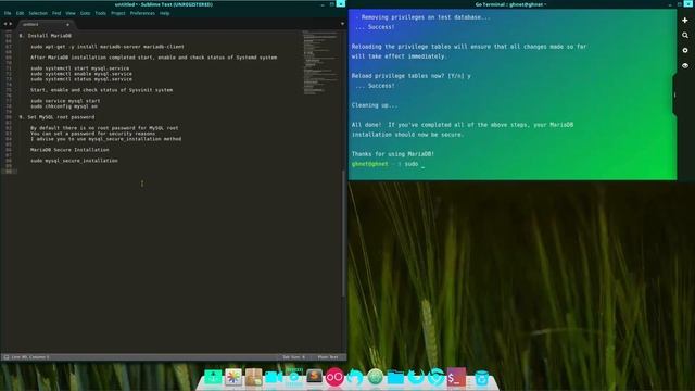 How to install LEMP Server [Nginx, PHP 7.0, MariaDB & phpMyAdmin] on Linux Mint 18 Sarah - Part 2 смотреть онлайн