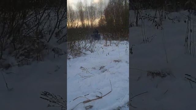 трицыкл иж по снегу