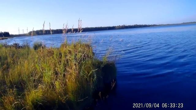 Охота на утку! Пришла северная утка, и Морской ЧЕРНЕТЬ смотреть онлайн