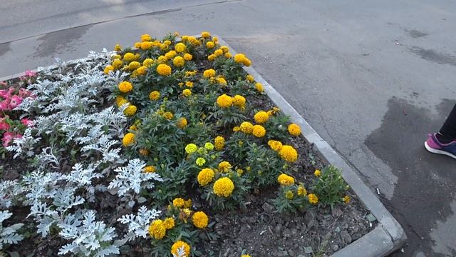 ДНЕВНИК ПОХУДЕНИЯ??? БЫСТРАЯ ХОДЬБА ПО? ЛЕСТНИЦЕ ИНТЕРВАЛЬНОЕ ГОЛОДАНИЕ 16/8⏰ ИДЁМ К ЦЕЛИ ВМЕСТЕ ! смотреть онлайн