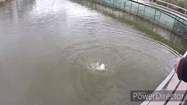 Юсупово смотреть онлайн