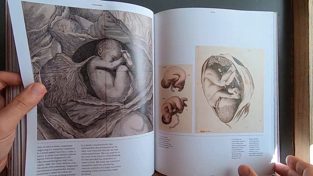 ANATOMICA the equisite & unsettling Art of Human Anatomy - Joanna Ebenstein ( Book Flip ) смотреть онлайн