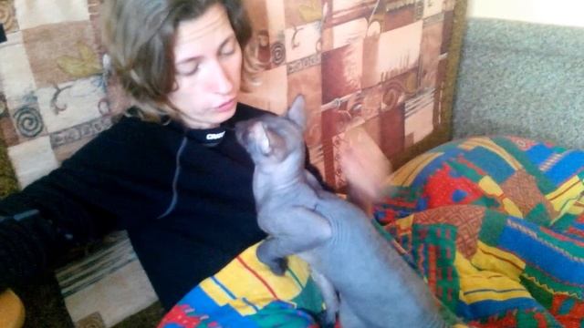 Убийственный поцелуй сфинкса)