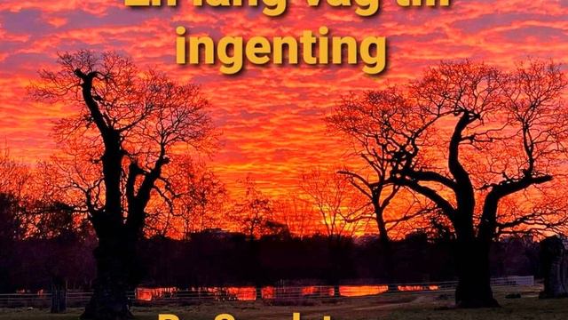 En lång väg till ingenting (Swedish ballad, cover version of a Totta Näslund song) смотреть онлайн
