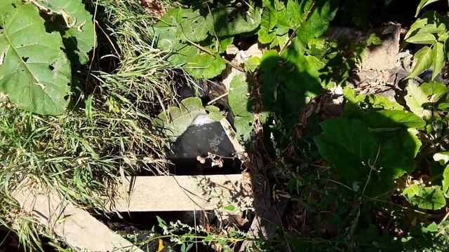 Канализационные стоки ЖК "Изумрудный" отравляют природу в Саратове - 2 смотреть онлайн