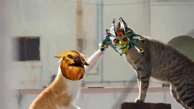 Cats in Dota 2 смотреть онлайн