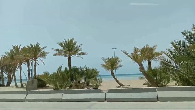 TRIP TO ALWAJH BEACH PART OF TABUK PROVINCE KSA смотреть онлайн