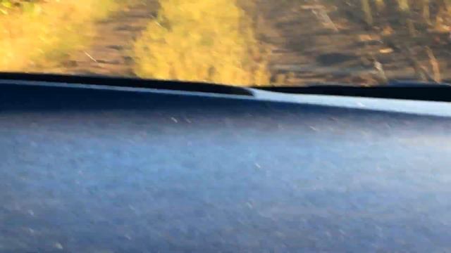 Подсолнечник готов.. Скосили кукурузу,урожайность. смотреть онлайн