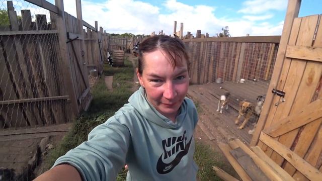 ПОКАЖЕМ ЧТО УЖЕ СМОГЛИ И ЧТО ЕЩЕ ПРЕДСТОИТ!! + МАЛЕНЬКИЙ ХВОСТИК ИЩЕТ ДОМ!! смотреть онлайн