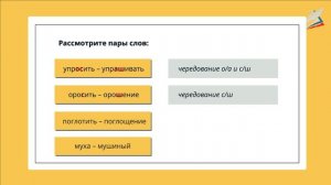 Урок 103 Варианты морфем. Морфемный анализ слова 5 класс