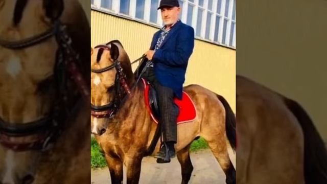 Амирхан (мунах1ал чурияв) (Ибрагимотар) смотреть онлайн