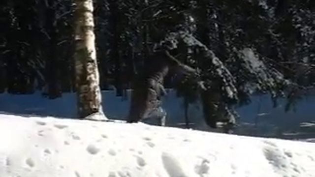 Есть женщины в русских селеньях... смотреть онлайн