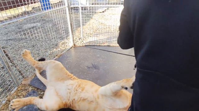 не повторяйте этого дома"шок контент" смотреть онлайн