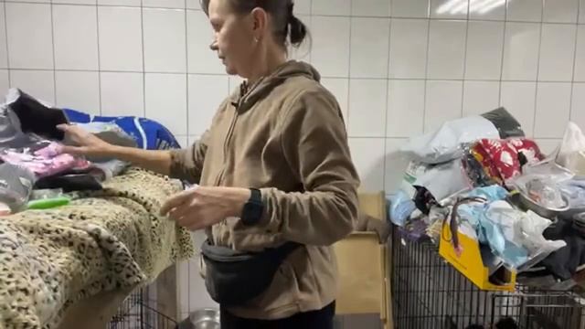 Спасение животных/ Вечер в приюте хвостатое счастье/ Распаковка посылок смотреть онлайн