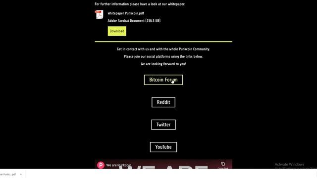 Punkcoin is The Most Rebellious Token смотреть онлайн
