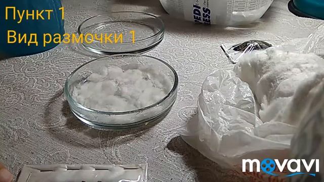 Как РАЗМОЧИТЬ ЖУКА перед препарированием/ How to soak a beetle before preparation смотреть онлайн