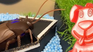 Хомяк против таракана. Желейный Стасик помог укротить монстра.