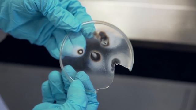 Arsenic - Periodic Table of Videos смотреть онлайн