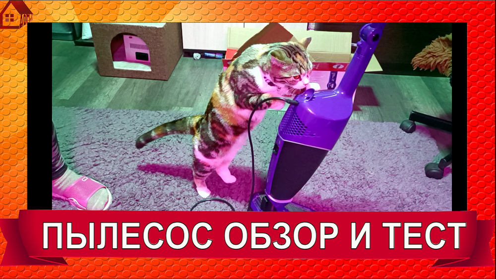 Если у Вас Есть Кот, Дети и Другие Домашние Животные! Пылесос ARNICA Tria Pro-Просто ЗВЕРЬ! смотреть онлайн