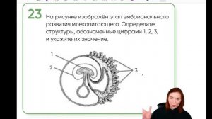 Практический марафон: 23 задание   | БИОЛОГИЯ ЕГЭ | Лина Клевер