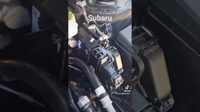 13 декабря 2023 г. смотреть онлайн