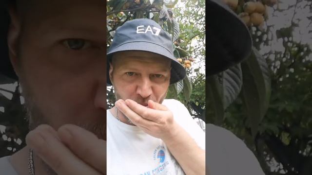 Мушмула. Впервые пробую этот фрукт. смотреть онлайн