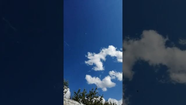 разминка молодёжи ленинаканцев. смотреть онлайн