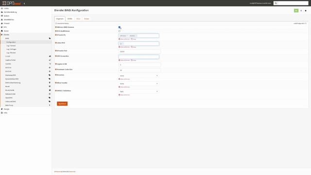 Opnsense DNS Server und unbound DNS einrichten смотреть онлайн