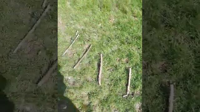Our games = training. Наши игры= обучение. смотреть онлайн