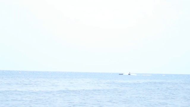 Азовське море, Кирилловка, коса Пересыпь, Приморская галатея №19 смотреть онлайн