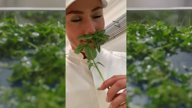 A Pesto Story – with Mikaela Shiffrin смотреть онлайн