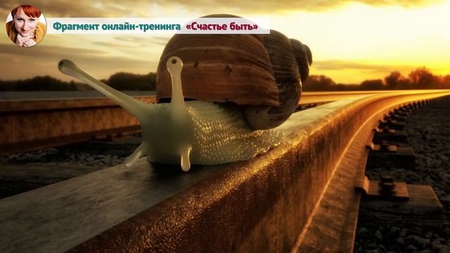 Зона комфорта (Рассказывает Ева Ефремова) смотреть онлайн