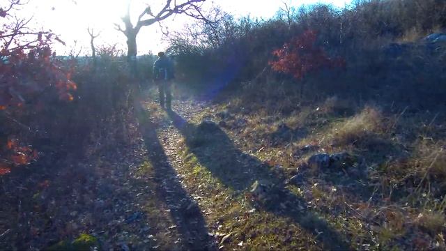 Nemzeti Park Túrák: Aggtelek - 2020 смотреть онлайн