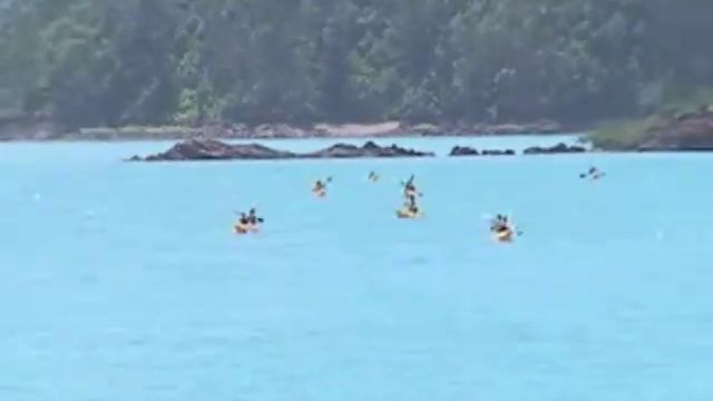 salty dog sea kayaking смотреть онлайн