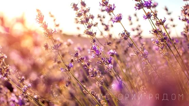 Миллионер оделся нищим и отправился знакомиться с родителями невесты сына, а едва он… смотреть онлайн