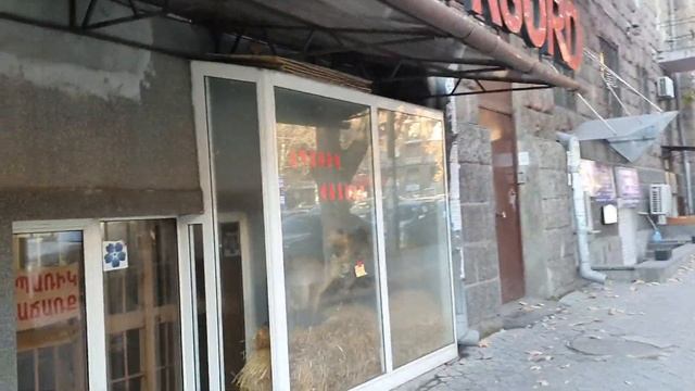 Хочу машину / Ереван 14.01.2020/Проспект