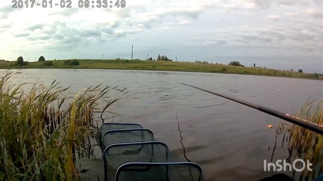 Карась капризничает! Снова Костромка и маховая удочка - 13.06.2020 г. смотреть онлайн