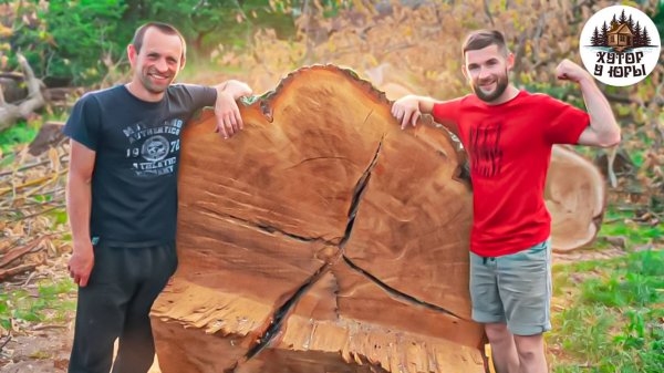 Парни против 300-летнего дуба. Эксклюзивные слэбы. Guys against a 300-year-old oak tree. Exclusive