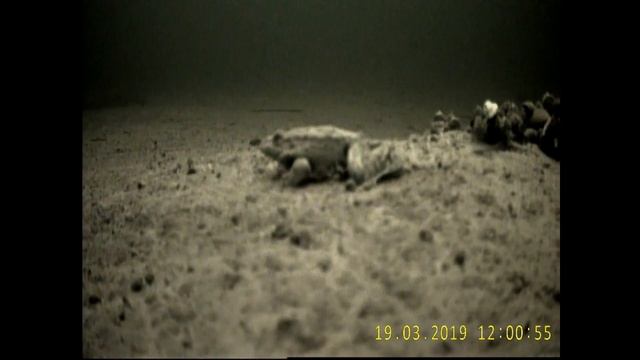 Сравнение Формата AHD и CVBS на Мониторах 5"AHD и 7" CVBS. Или вот где жабы зимуют. смотреть онлайн